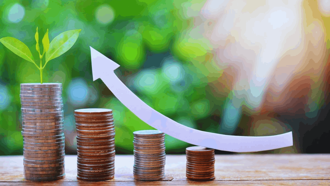 Top Investment Choices for New Investors in 2025